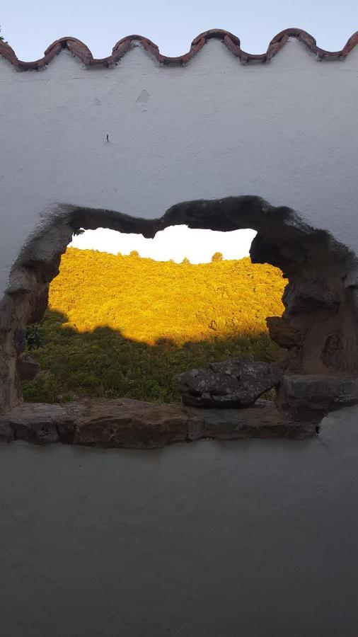 Gite Dans Ancienne Bergerie En Pleine Garrigue Fraissé-des-Corbières Exterior foto